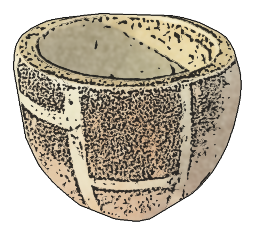 Ink drawing of Megan's speckled cup